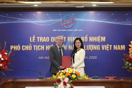 Lãnh đạo cao cấp T&T Group làm Phó Chủ tịch Hiệp hội Năng lượng Việt Nam