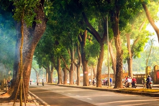 Dự báo thời tiết Hà Nội ngày 5/4/2025: Sáng sớm có sương mù, ngày nắng. Nhiệt độ cao nhất 26 độ C