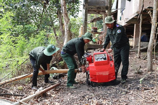 Đồng Tháp: Vườn Quốc gia Tràm Chim chủ động phòng, chống cháy rừng mùa khô