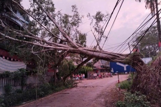 Yên Bái: 59 ngôi nhà bị hư hại, 1 người bị thương do mưa dông kèm gió lốc quét