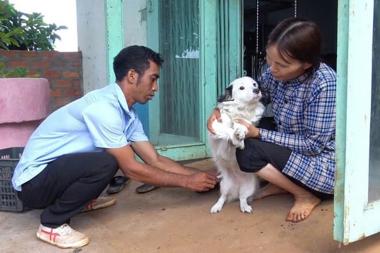 Gia Lai: 4 người tử vong do bệnh dại, khẩn cấp phòng chống dịch