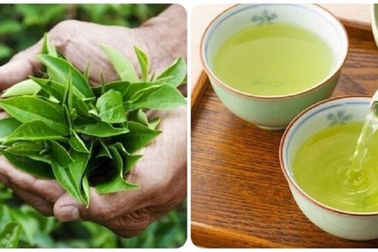 Ba loại nước uống tăng sức khỏe cho gan, ruột