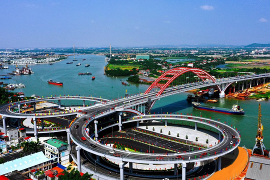 Sắc phượng đỏ bên bờ biển Đông