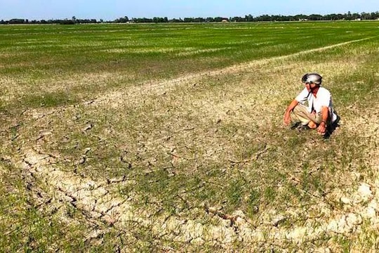 ĐBSCL: Độ mặn lên tới 9,5‰, cảnh báo xâm nhập mặn vẫn còn kéo dài