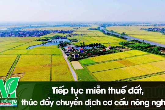 Tiếp tục miễn thuế đất, thúc đẩy chuyển dịch cơ cấu nông nghiệp