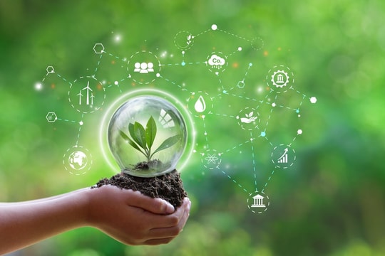 Chủ động ứng phó với biến đổi khí hậu, tăng cường quản lý tài nguyên, bảo vệ môi trường