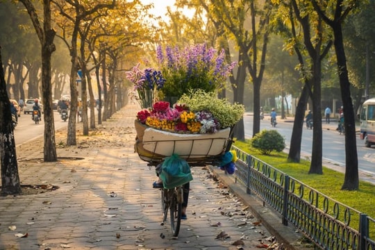 Dự báo thời tiết Hà Nội ngày 12/5/2025: Đêm không mưa, ngày nắng