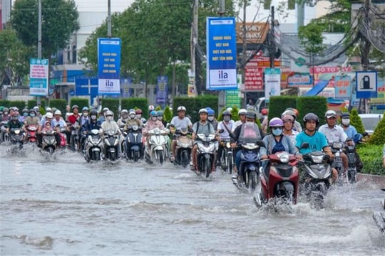 Đông Nam Bộ đối mặt 4 đợt triều cường lớn, nguy cơ ngập úng và xâm nhập mặn gia tăng