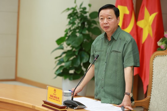 Nuôi, trồng dược liệu dưới tán rừng phải gắn chặt với sinh kế của người dân