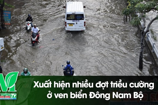 [VIDEO] Xuất hiện nhiều đợt triều cường ở ven biển Đông Nam Bộ