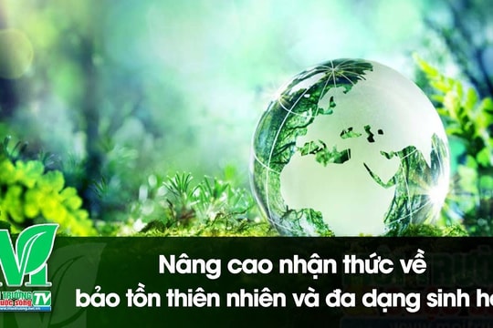 [VIDEO] Nâng cao nhận thức về bảo tồn thiên nhiên và đa dạng sinh học