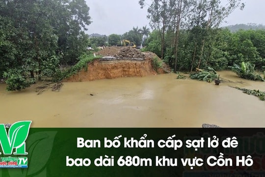[VIDEO] Ban bố khẩn cấp sạt lở đê bao dài 680m khu vực Cồn Hô