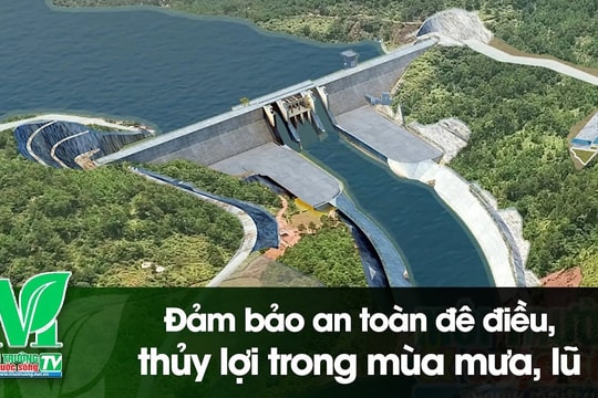 [VIDEO] Đảm bảo an toàn đê điều, thủy lợi trong mùa mưa, lũ