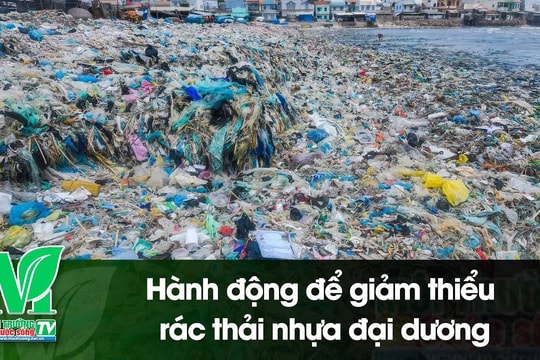 [VIDEO] Hành động để giảm thiểu rác thải nhựa đại dương