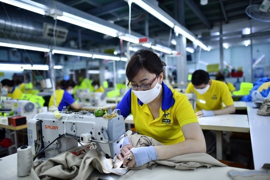 Kế hoạch hành động của Chính phủ về phát triển kinh tế tư nhân