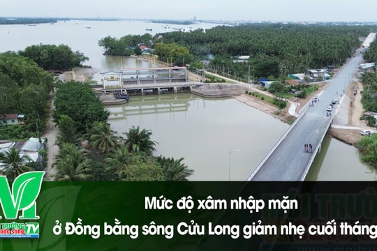 [VIDEO] Mức độ xâm nhập mặn ở Đồng bằng sông Cửu Long giảm nhẹ cuối tháng 5