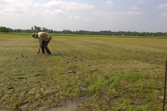 Vĩnh Long chủ động ứng phó thiên tai trong thời điểm giao mùa