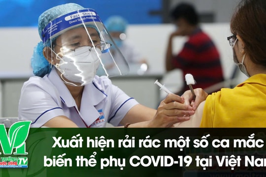 [VIDEO] Xuất hiện rải rác một số ca mắc biến thể phụ COVID-19 tại Việt Nam