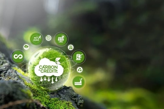 Chủ động tạo nguồn cung tín chỉ carbon: Động lực vận hành thị trường carbon tại Việt Nam
