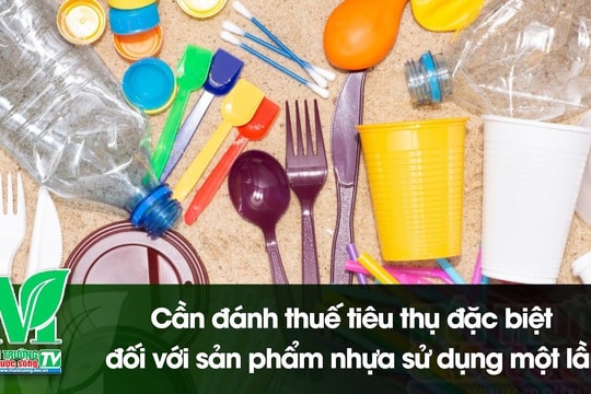 [VIDEO] Cần đánh thuế tiêu thụ đặc biệt đối với sản phẩm nhựa sử dụng một lần