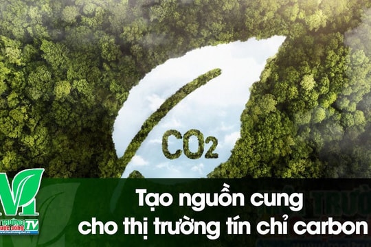 [VIDEO] Tạo nguồn cung cho thị trường tín chỉ carbon