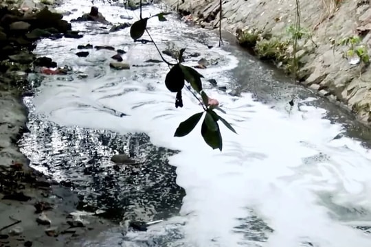 Đồng Nai siết chặt xử lý vi phạm môi trường: "Không có vùng cấm, không ngoại lệ"