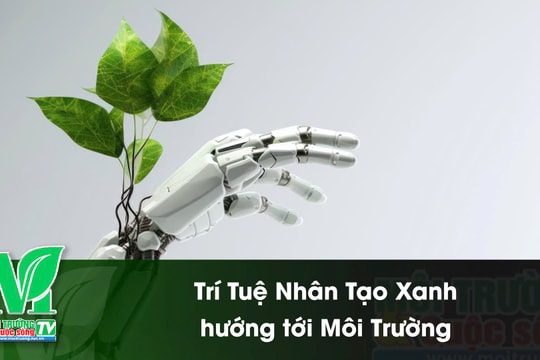 [VIDEO] Trí tuệ nhân tạo xanh hướng tới môi trường
