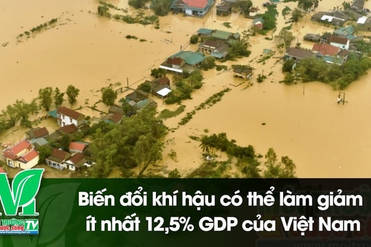 [VIDEO] Biến đổi khí hậu có thể làm giảm ít nhất 12,5% GDP của Việt Nam