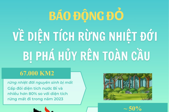 [Infographic] Báo động đỏ về diện tích rừng nhiệt đới bị phá hủy trên toàn cầu