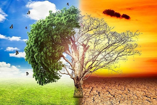 Cần tạo điều kiện để tư nhân và cộng đồng đầu tư vào thích ứng khí hậu