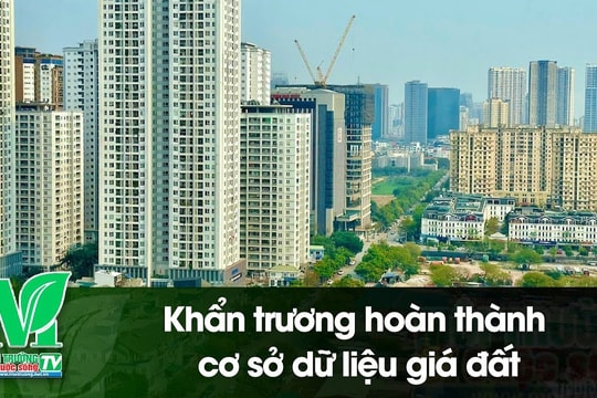 [VIDEO] Khẩn trương hoàn thành cơ sở dữ liệu giá đất