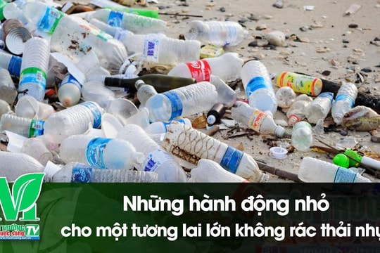 [VIDEO] Những hành động nhỏ cho một tương lai lớn không rác thải nhựa