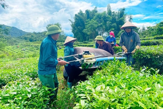 Thành lập Ban Chỉ đạo Trung ương các chương trình mục tiêu quốc gia giai đoạn 2021 - 2025
