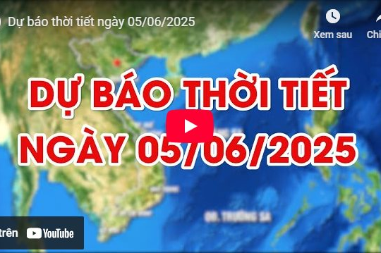 Dự báo thời tiết ngày 5/6/2025: Nhiều nơi có mưa