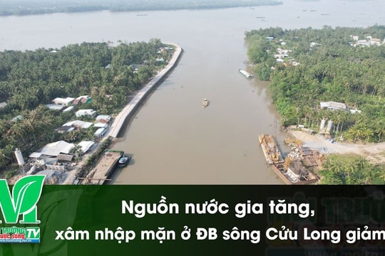 [VIDEO] Nguồn nước gia tăng, xâm nhập mặn ở Đồng bằng sông Cửu Long giảm