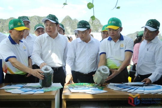Sôi nổi các hoạt động tích cực hưởng ứng Ngày Môi trường Thế giới (5/6) trên cả nước