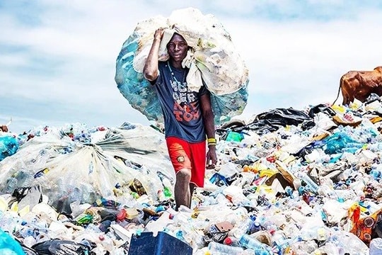 Ô nhiễm nhựa: Mối đe dọa thầm lặng và lời kêu gọi hành động khẩn cấp