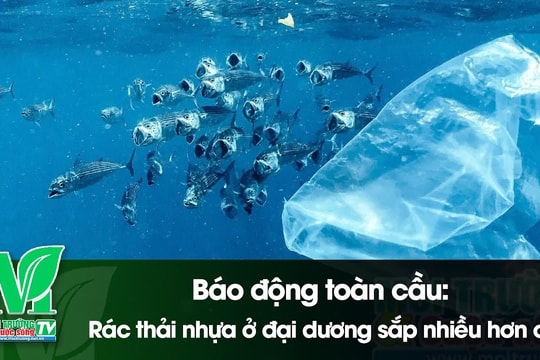 [VIDEO] Báo động toàn cầu: Rác thải nhựa ở đại dương sắp nhiều hơn cá