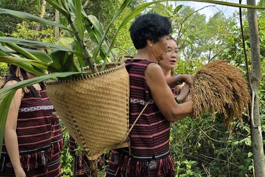 Thêm 11 di sản văn hóa phi vật thể Quốc gia được công bố