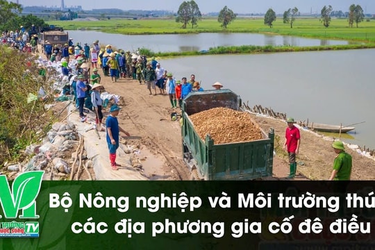 [VIDEO] Bộ Nông nghiệp và Môi trường thúc các địa phương gia cố đê điều