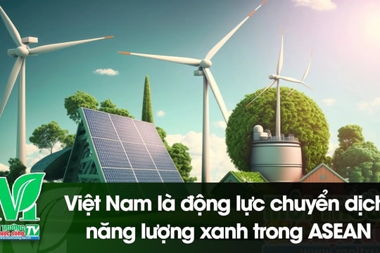 [VIDEO] Việt Nam là động lực chuyển dịch năng lượng xanh trong ASEAN