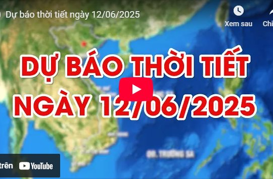 Dự báo thời tiết ngày 12/6/2025: Mưa rông diện rộng, có nơi mưa rất to