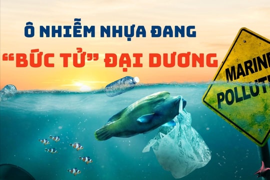 Báo động toàn cầu: Ô nhiễm nhựa đang “bức tử” đại dương
