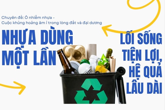 Nhựa dùng một lần: Lối sống tiện lợi, hệ quả lâu dài
