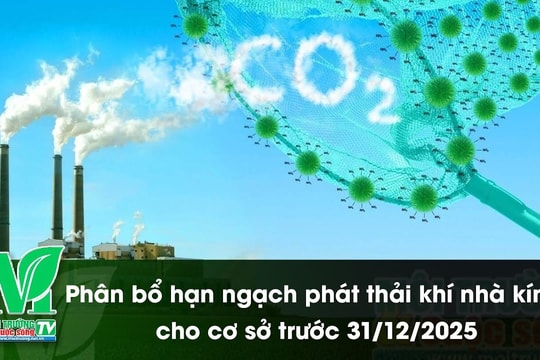 [VIDEO] Phân bổ hạn ngạch phát thải khí nhà kính cho cơ sở trước 31/12/2025