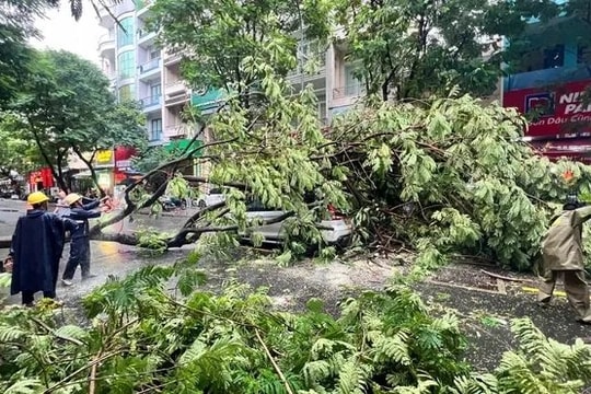 TPHCM tăng cường chủ động ứng phó mùa mưa bão