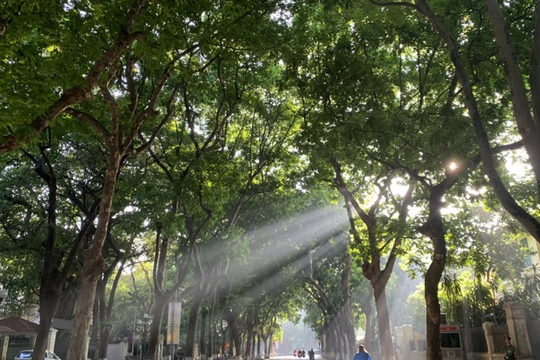Dự báo thời tiết Hà Nội ngày 16/6/2025: Ngày nắng, chiều tối có lúc có mưa rào và dông