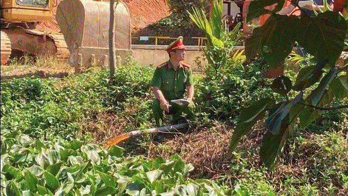 Thanh Hóa: Dân bất bình vì trại lợn xả thải gây ô nhiễm, Cảnh sát môi trường vào cuộc điều tra