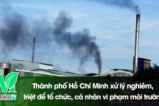 [VIDEO] Thành phố Hồ Chí Minh xử lý nghiêm, triệt để tổ chức, cá nhân vi phạm môi trường