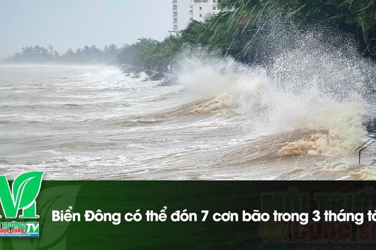 [VIDEO] Biển Đông có thể đón 7 cơn bão trong 3 tháng tới